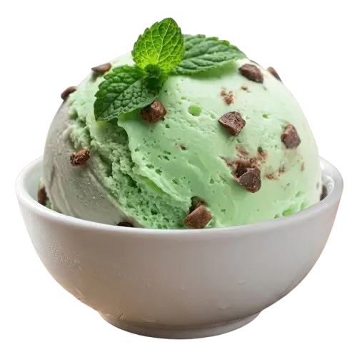 cookout's-Mint-Chocolate-Chip